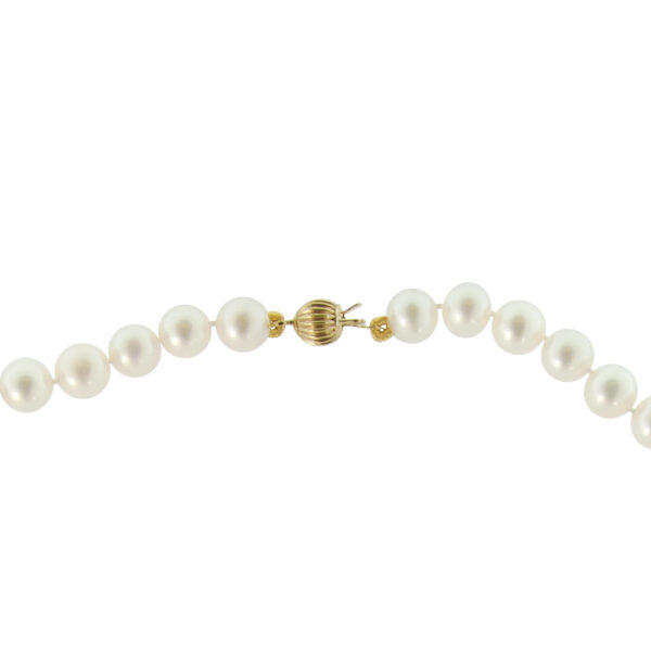 Fresh Water Pearl Necklace 6.5-7mm N153125-PE f1