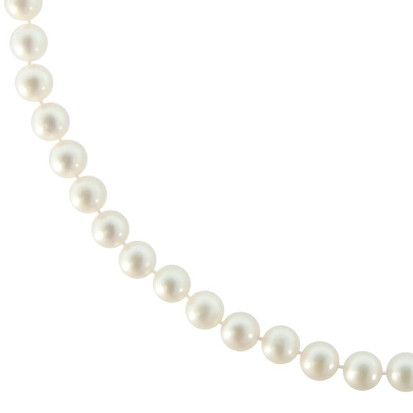 Fresh Water Pearl Necklace 6.5-7mm N153125-PE f2