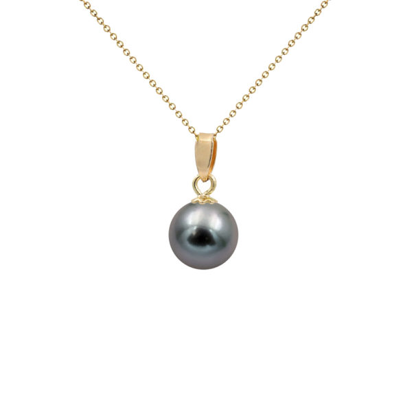Akoya Black Pearl Japan 7.5-8mm AAAA Round 14k Gold N153216-PE
