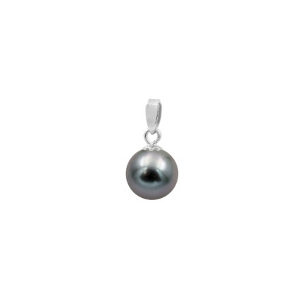 Black Pearl Akoya Japan 7.5-8mm AAAA Round 14k White Gold N153217-PE